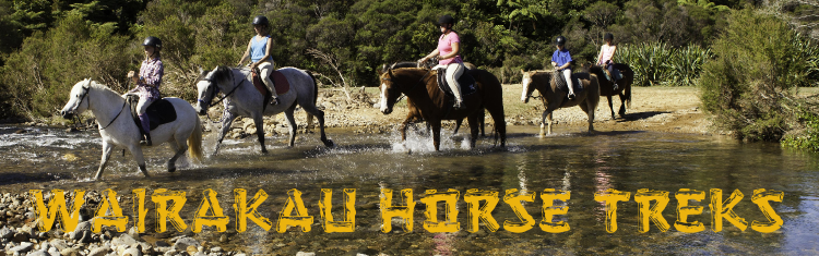 Wairakau Horse Treks and Pony Riding Whitianga